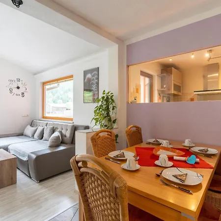 Neukirchen Near Slopes Apartmán