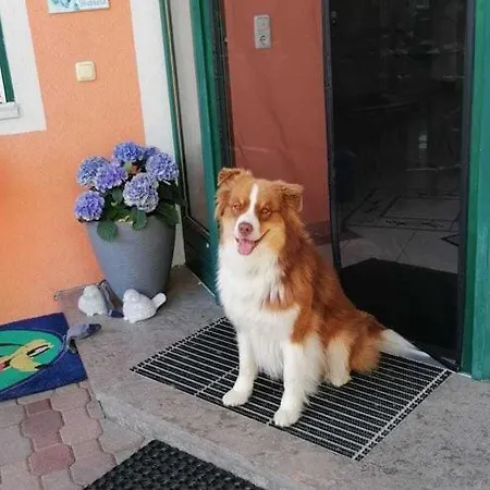 Neukirchen Near Slopes * Neukirchen am Großvenediger