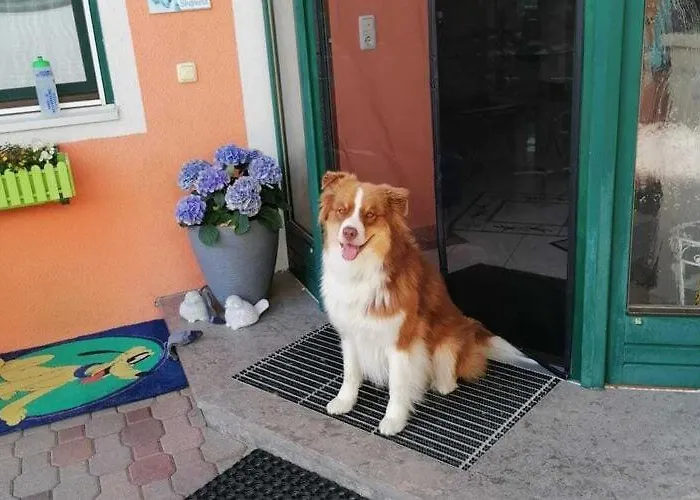 Neukirchen Near Slopes * Neukirchen am Großvenediger